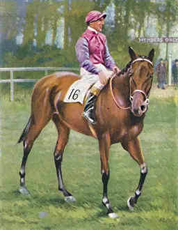 Racetrack Prints: Zoltan