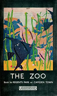 Poster Prints: The Zoo