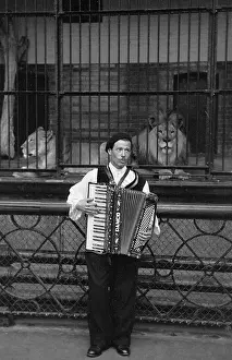 Cage Prints: Zoo Music