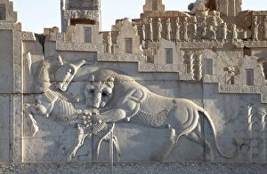 Images Dated 19th October 2015: Zoroastrian bas relief depicting a lion hunting a bull, Persepolis, Iran
