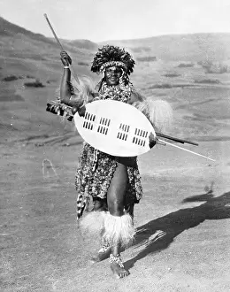 Zulu Warrior Chief