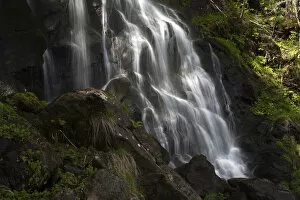 Zweribach Waterfall on Kandel Mountain in the Black Forest, Baden-Wuerttemberg, Germany, Europe